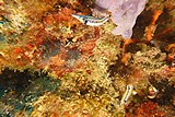 DSC02351.jpg